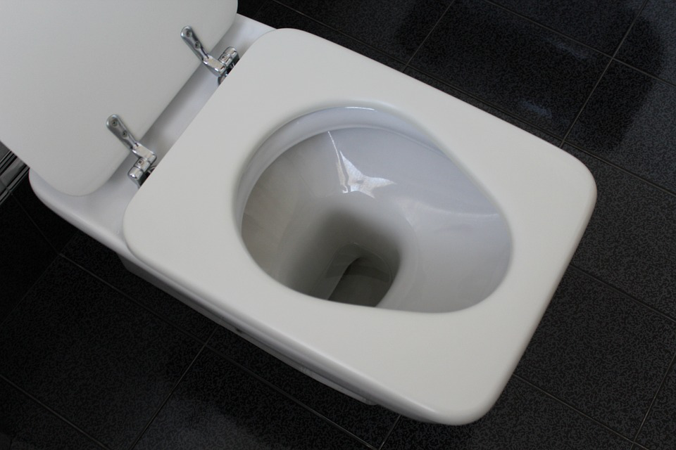 commode seat