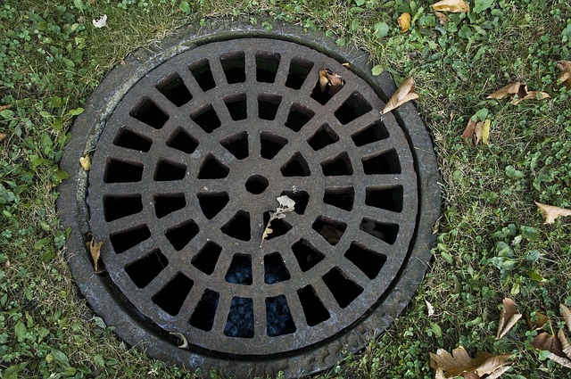 Understanding the Differences Between Your Main Sewer Line and Drain ...