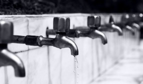 A line of water faucets leaking