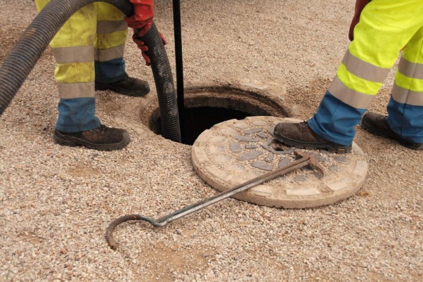 Plumbers dealing with a sewer line