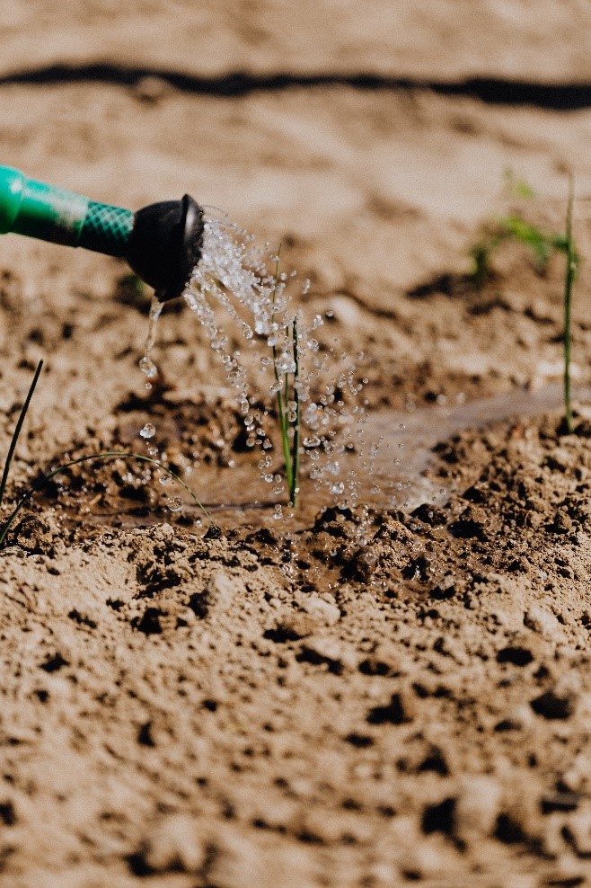 trenchless pipe repair in Fort Worth preserves the original state of soil